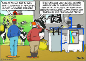 Returning Cows Comic - French