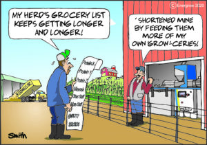 Grocery List Comic - English