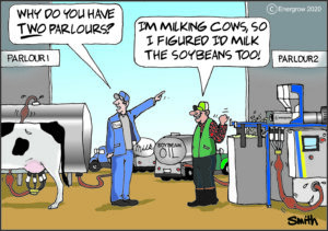 Milking Beans Comic - English