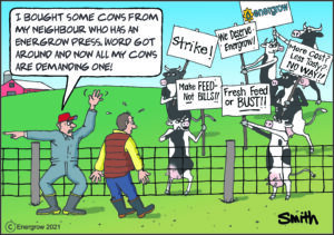 Striking Cows Comic - English