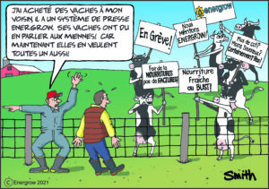 Striking Cows Comic - French