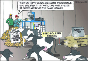 Voting Cows Energrow Comic English
