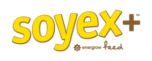 Soyex+ logo from Energrow feed