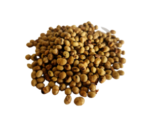Close up shot of roasted soybeans.