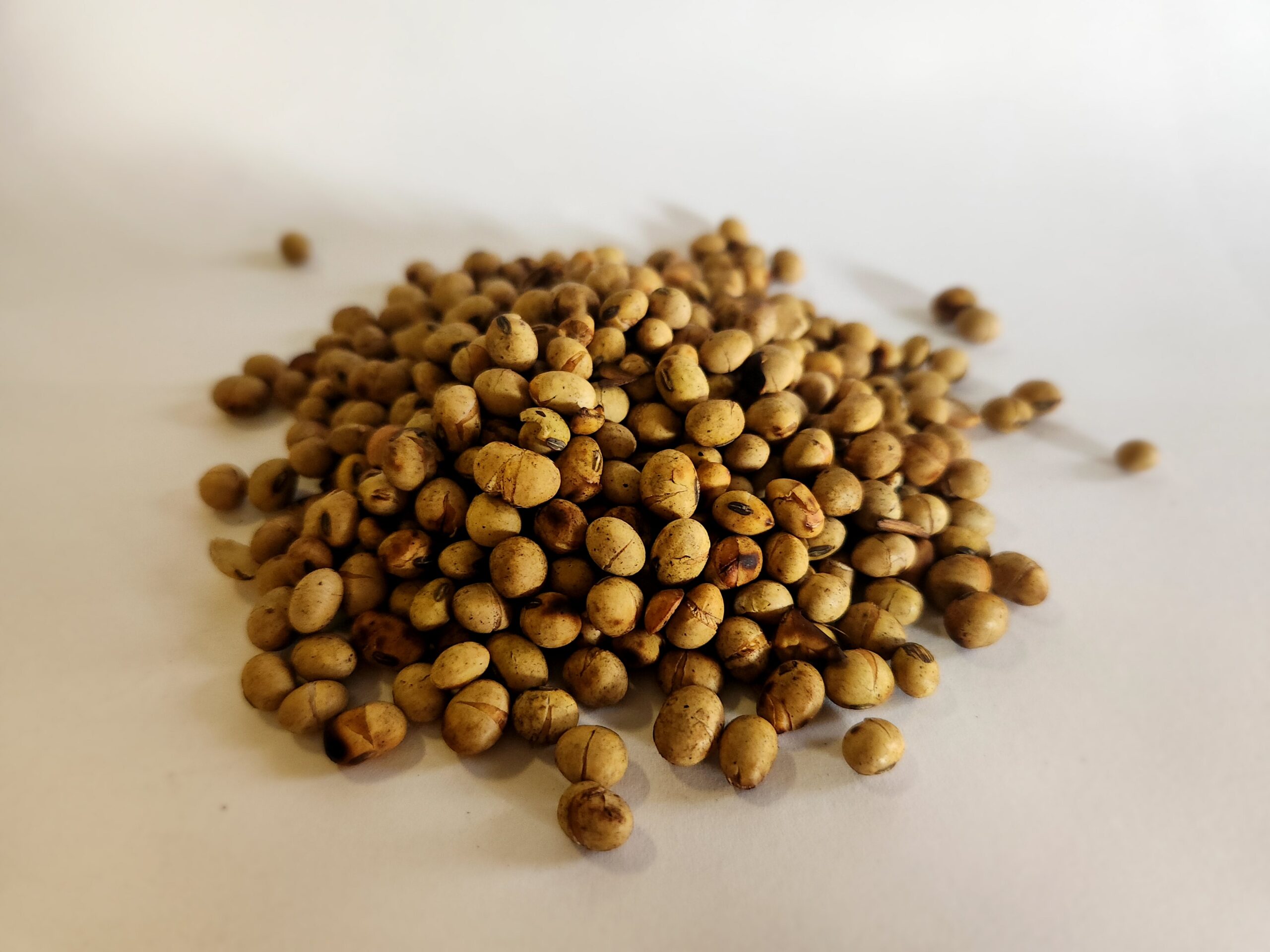 Roasted Soybeans FarmFresh with Red Jacket Roasting System